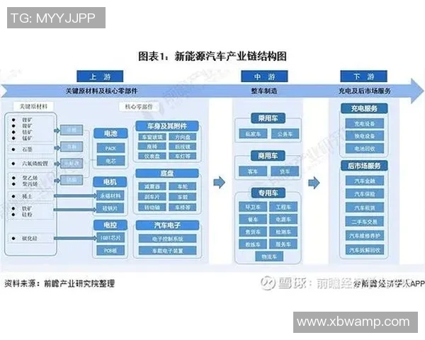 深圳排球队攻势变革全景解析新战术与新思维的结合之路